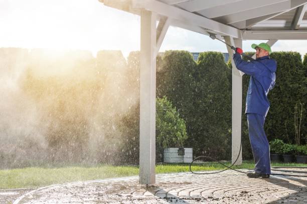 Best Graffiti Removal  in Seville, FL